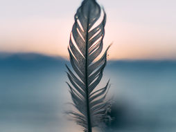 כיפור 2025 – איך הצום פותח שער לנפש ומה אפשר לבחור ברמה הרוחנית