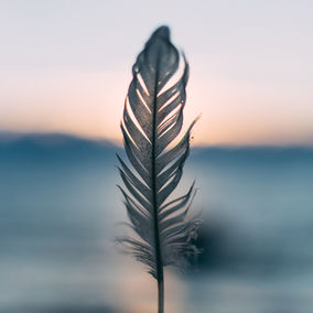Image by Daiga Ellaby