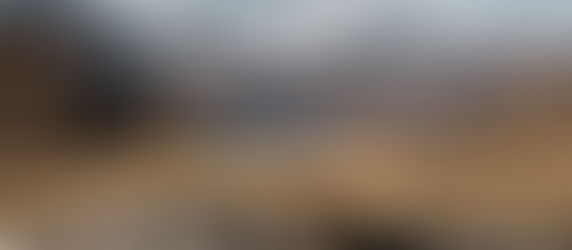 When It's Groundhog Day Every Day