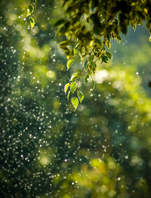 Image by Goutham Krishna