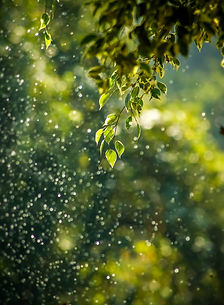 Image by Goutham Krishna