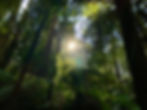 Image by Gagandeep Singh