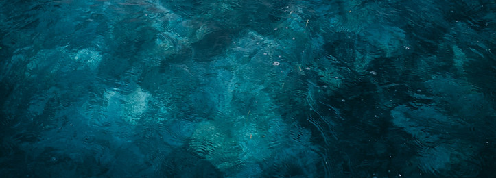 Image by Artiom Vallat