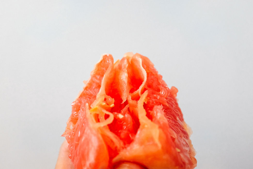 Healthy Vagina