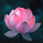 Writer: Poh Ern Shih Admin