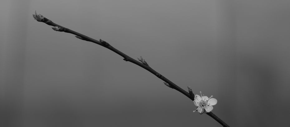 Öykü- Nilay Erik- Seni Unutma Zamanı