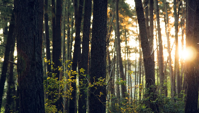 Centro de Serviços Compartilhados CSC: projeto para Estre Ambiental