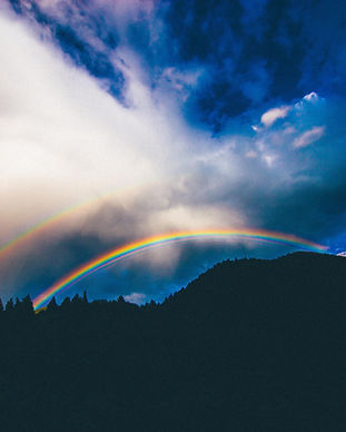 Image by Abigail Keenan