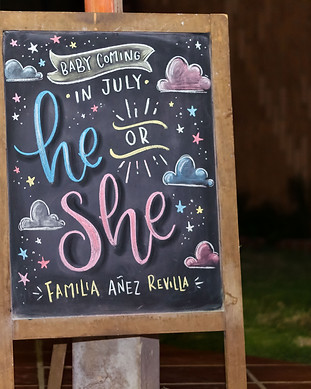 Gender Reveal Lighting Trimlight of North Atlanta
