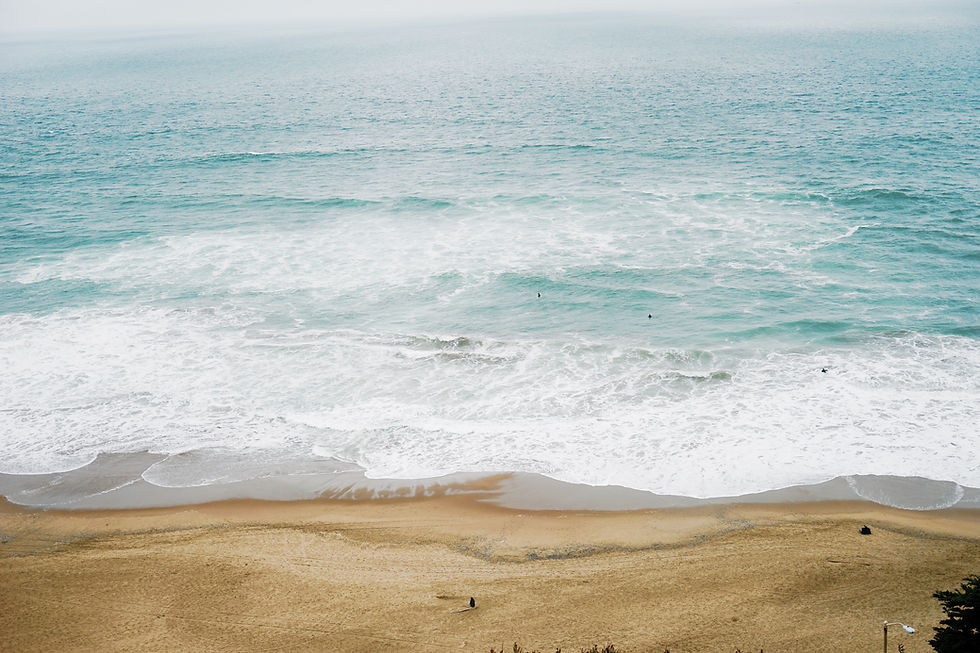 Image by Esther Cuan