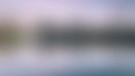 La UE anuncia la firma del Acuerdo de Libre Comercio con Nueva Zelanda a fecha 28 de febrero de 2024