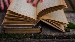 O livro:rose tayra
