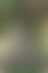 3 Daily Tasks That Will Improve Your English Fast