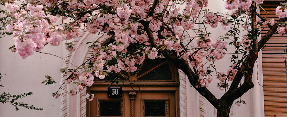 Image by Marijana Vasic