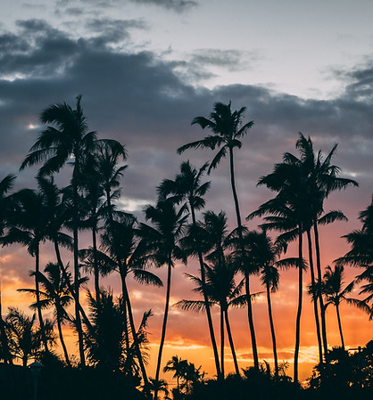 Image by KOJI FUTAMI