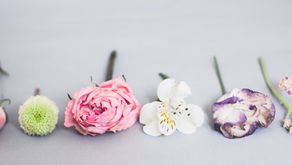 「隣の芝生」がまぶしい時に:他人と自分を比べない生き方