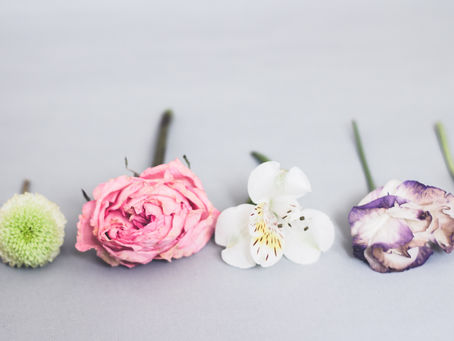 「隣の芝生」がまぶしい時に:他人と自分を比べない生き方