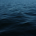 Image by Conor Sexton