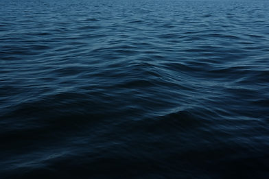 Image by Conor Sexton