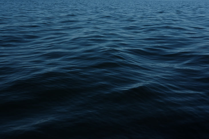Image by Conor Sexton