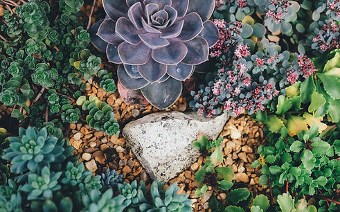 Image by Annie Spratt