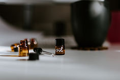 Image by Kelly Sikkema