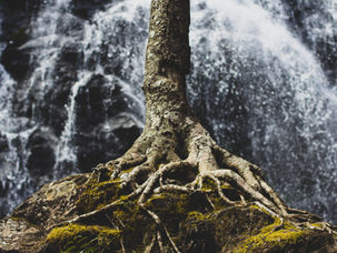 IGLECASA 5-OCTUBRE-2021