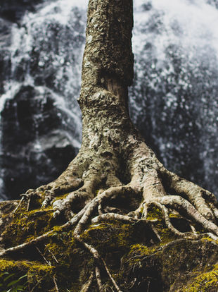 Unshakeable Strength