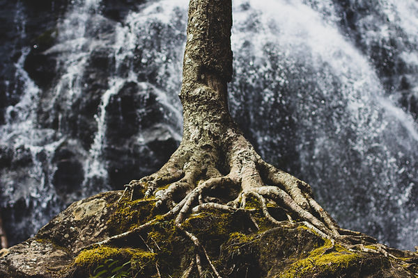 Image by Zach Reiner