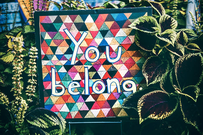 Image by Tim Mossholder