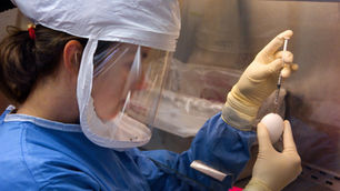 Pharma Merck Scraps Vaccine After Finding 'It’s More Effective To Get The Virus And Recover'