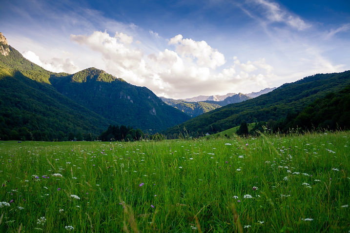 Image by Nikola Majksner