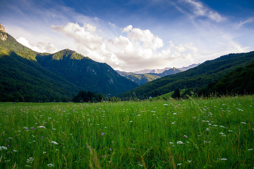 Image by Nikola Majksner