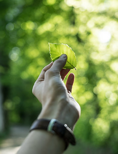 Image by Tobias Weinhold
