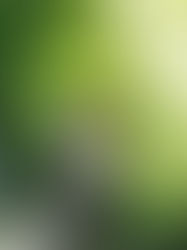 Desenvolvimento sustentável no Brasil: ações que precisam ser ampliadas