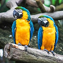 Image by Sid Balachandran