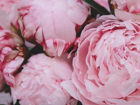 Loving Pink and Being a Girl