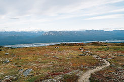 Image by William VanBuskirk