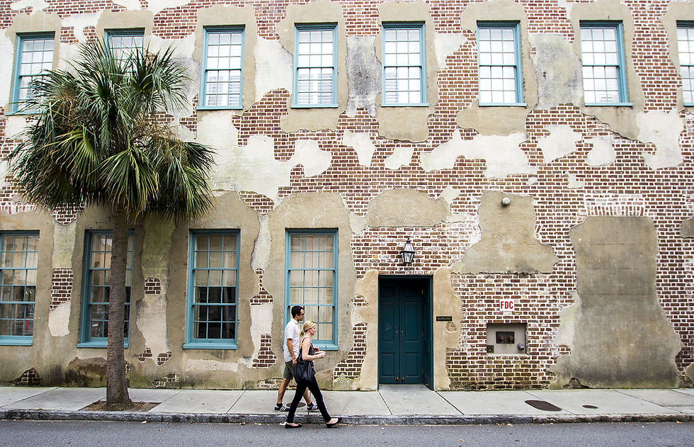 Image by Dylan Mullins