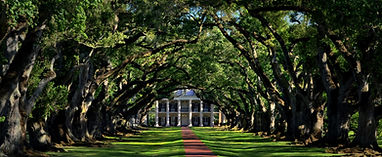 Arborist and Horticulture Experts