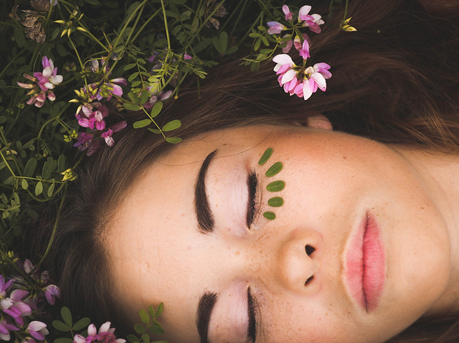 Image by Sarah Comeau