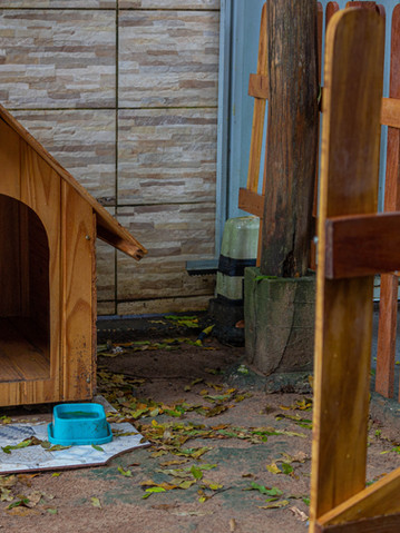 niche pour chien