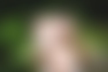 LinkedAlchemy: Does updating your LinkedIn make you want to hide? (and what to do about it)