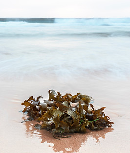 Image by Rosie Steggles