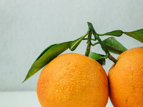 Arancio dolce (Citrus sinensis)