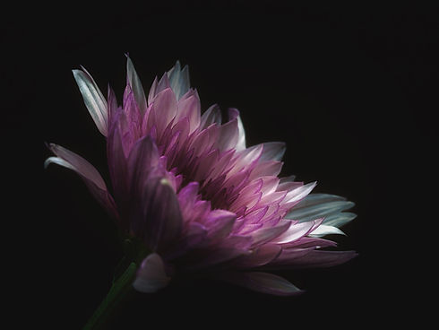 Image de Carlos Quintero