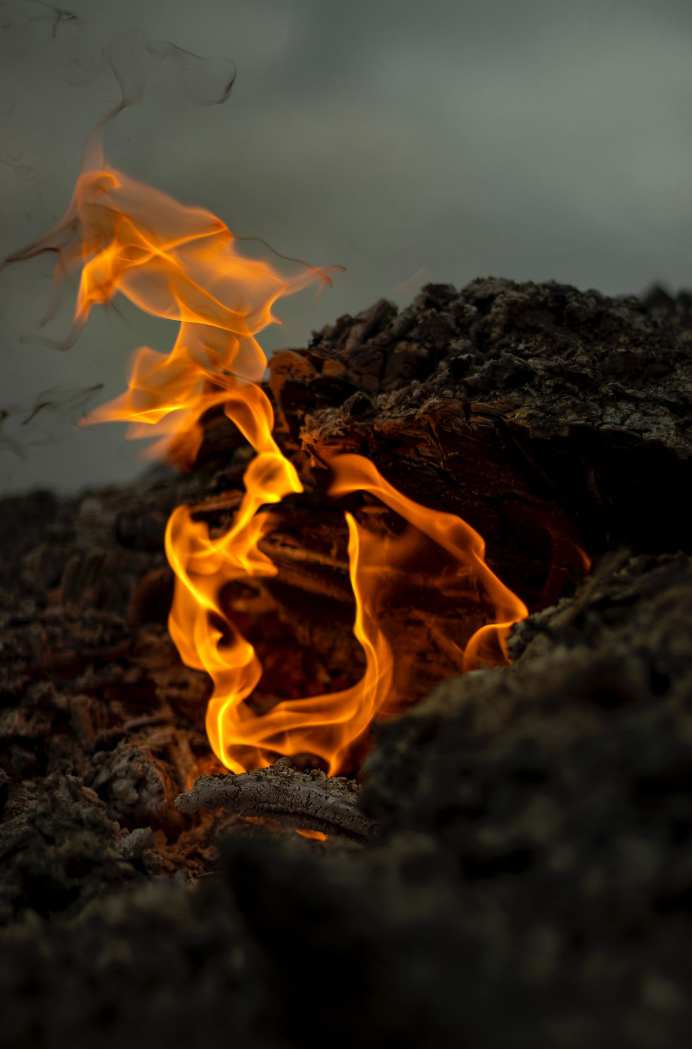 Mars is a fire sign