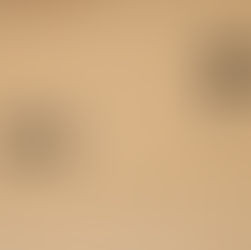 Globalism Without World Federalism Leads to Deadlier Wars