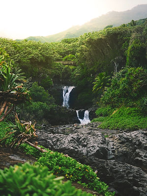 Image by Nathan Ziemanski