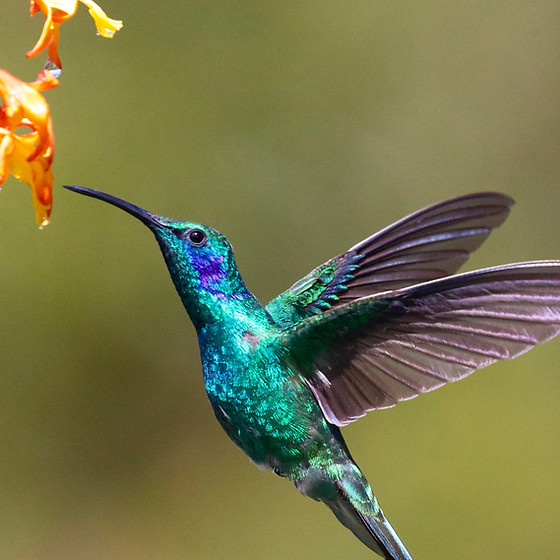 Image by James Wainscoat